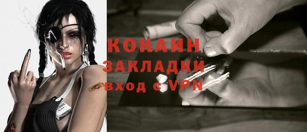 индика Аркадак