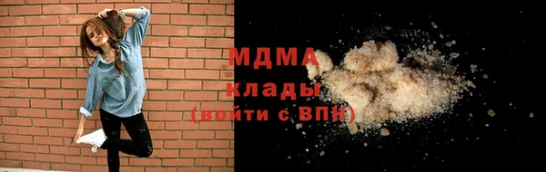 шишки Надым