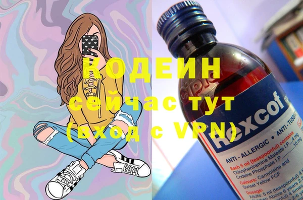 индика Аркадак