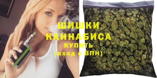 индика Аркадак