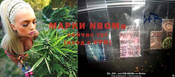 индика Аркадак
