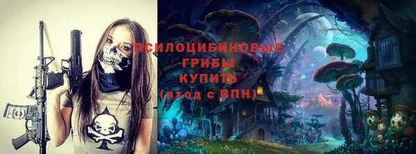 прущие крисы Армянск