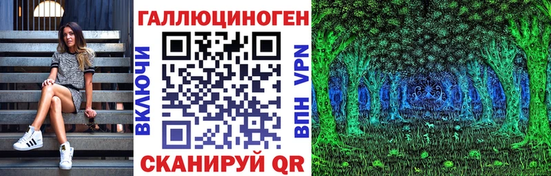 Галлюциногенные грибы Psilocybe  Купить где  Торопец 