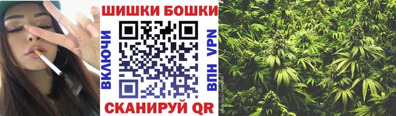 Купить  Торопец  Конопля сатива 